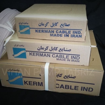 سیم شناور کرمان